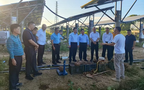 廣東省茂名農(nóng)墾集團(tuán)有限公司領(lǐng)導(dǎo)到揭陽(yáng)農(nóng)墾調(diào)研交流